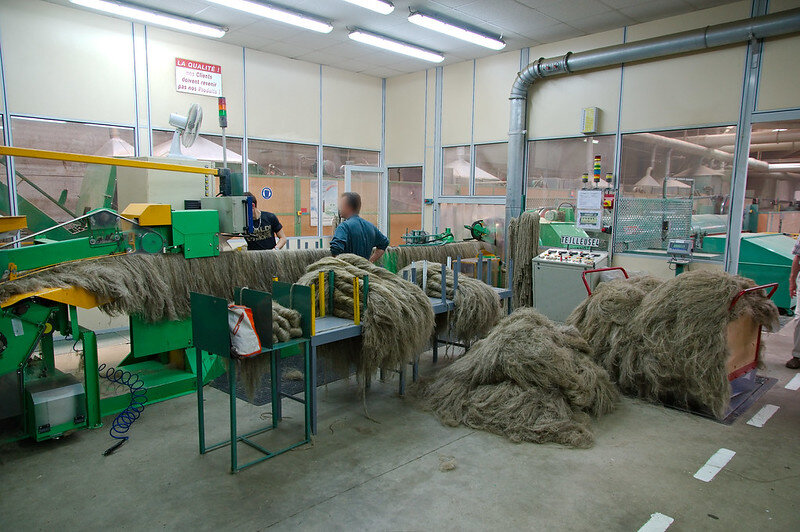 © Frédéric BISSON