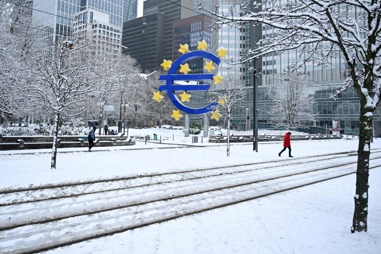 Tout retard de l'Union européenne dans l'adoption de l'euro numérique, version digitale de l'argent détenue en espèces, exposerait le Vieux-Continent aux acteurs "big tech non-européens" avertit un haut responsable de la Banque centrale européenne © Kirill KUDRYAVTSEV