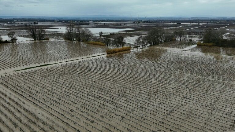Des champs inondés à Coursan dans l'Aude le 19 janvier 2026 © Lionel BONAVENTURE