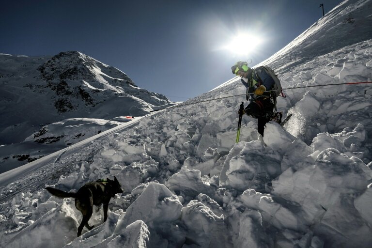 Un maître-chien recherche d'éventuelles victimes ensevelies à la suite d'une avalanche dans le massif des Écrins, dans les Alpes, le 29 janvier 2026 © JEFF PACHOUD