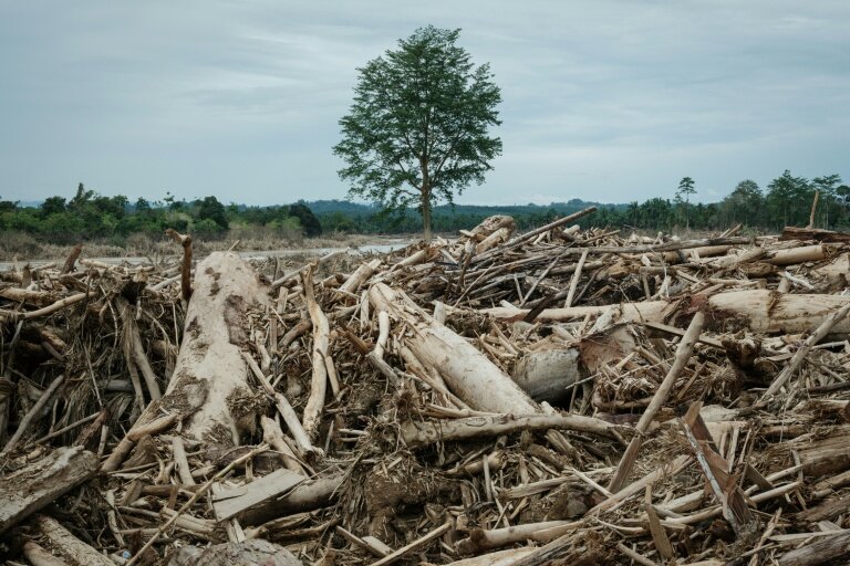 Les inondations et les glissements de terrain, aggravés par la déforestation, ont causé la mort de plus de 1.000 personnes à Sumatra l'année dernière © Yasuyoshi CHIBA
