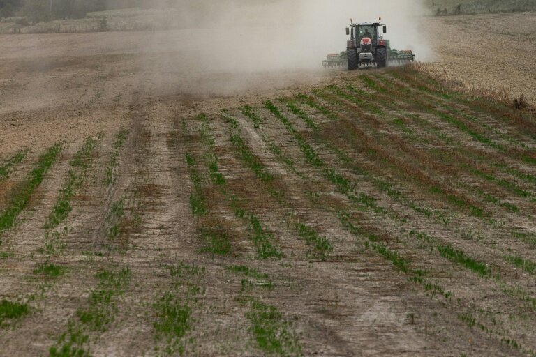 Les populations d'oiseaux des milieux agricoles en France ont chuté de 32,5% depuis 2001, victimes de l'intensification des pratiques agricoles destructrices de leur environnement © JOEL SAGET