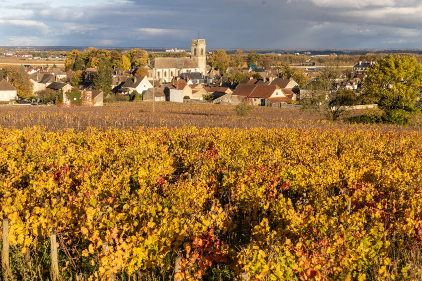 Photo d'illustration © DR