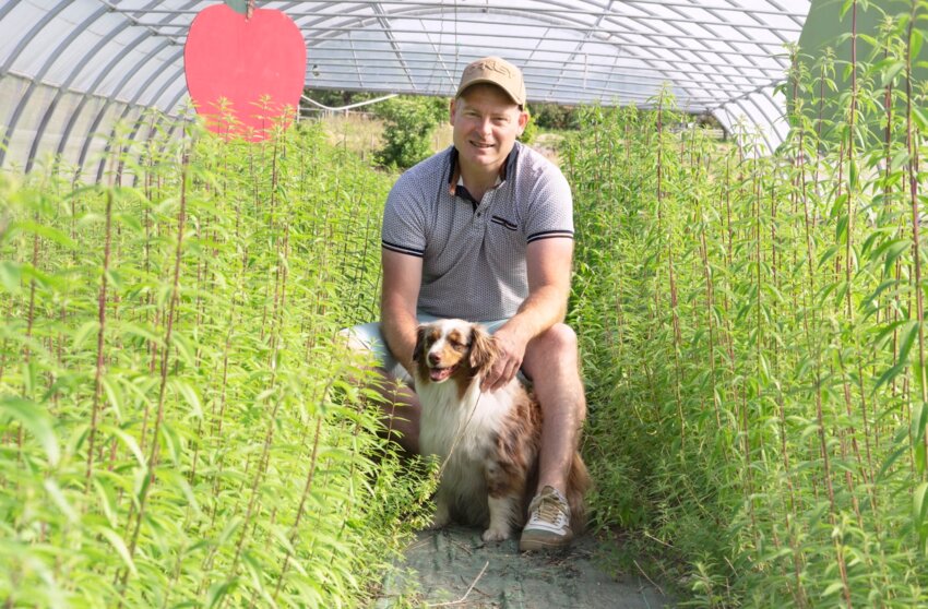 © Laurence Deleau. Thomas Vauthier et ses plantes au coeur de son exploitation meusienne.