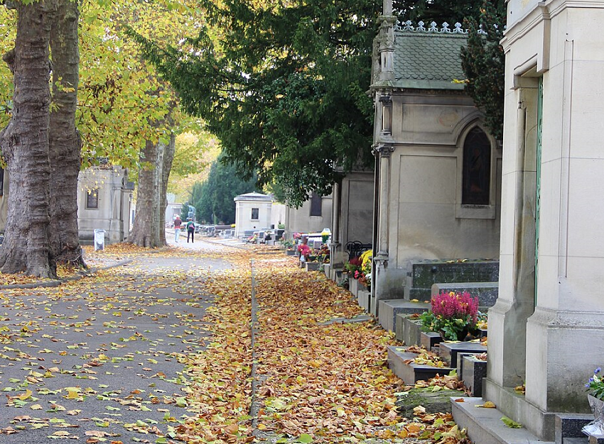 © Wikimedia Commons