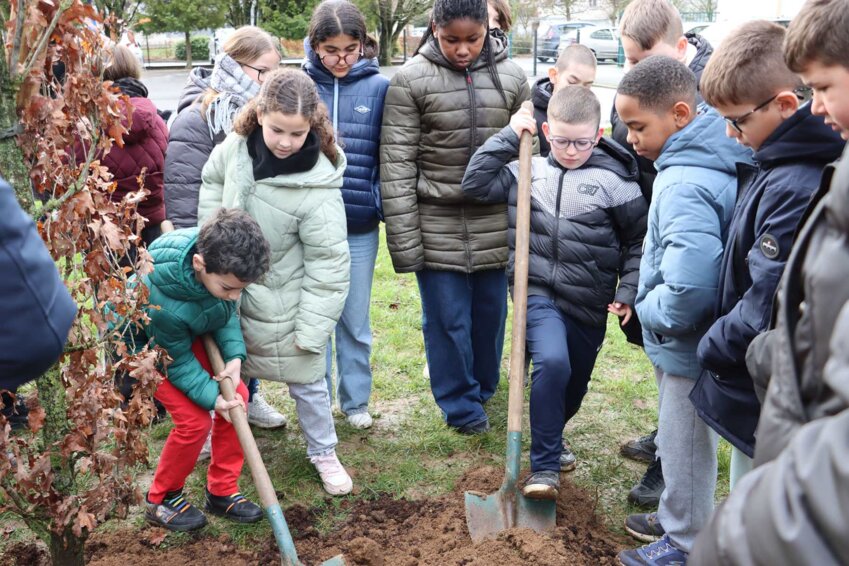 Un premier arbre, un chêne, a été planté. (c) ville de Château-Thierry