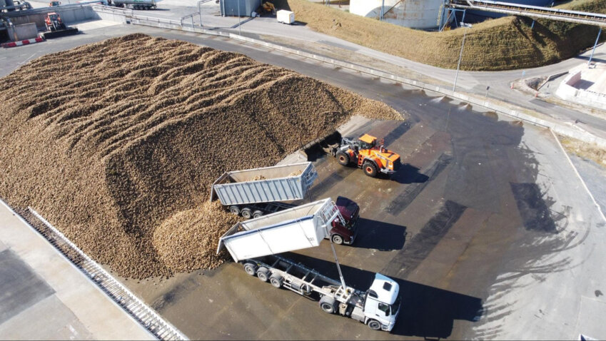 La campagne betteravière s'est déroulée de fin mars à début février. © Saint Louis Sucre