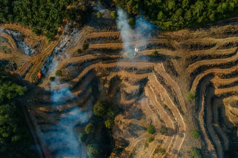 De la fumée pendant le déboisement d'une nouvelle zone de plantation de palmiers à huile à Lamno, dans la province d'Aceh, le 18 janvier 2026 en Indonésie © CHAIDEER MAHYUDDIN
