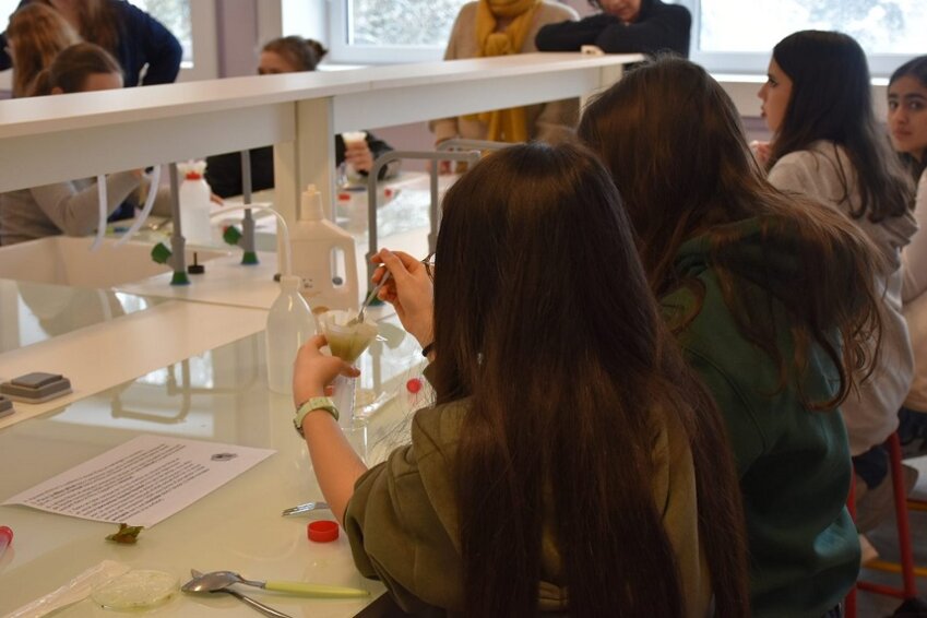 © IUT Nancy-Brabois.