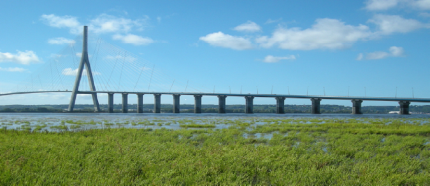 Estuaire de la Seine au niveau du pont de Normandie. © Maison de l’estuaire