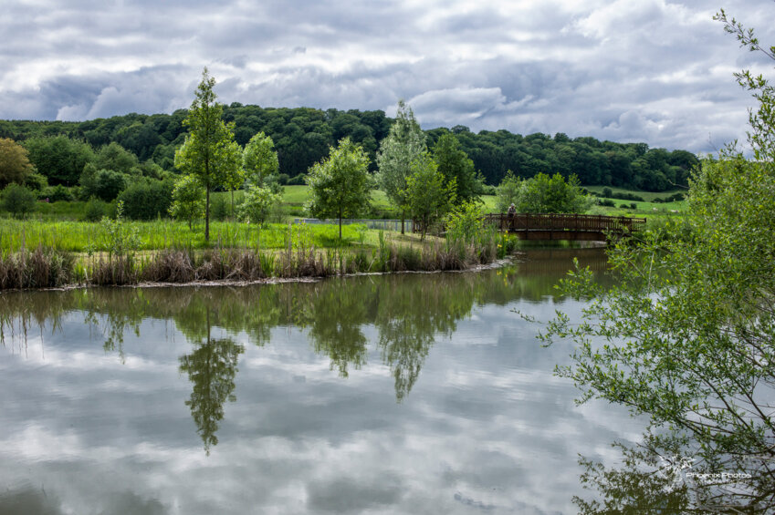 (c) CCAM. Site naturel et patrimonial, le Parc de la Canner est situé à une douzaine de kilomètres de Thionville.