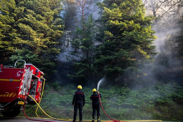 Obligations de débroussaillement renforcées, jet de mégot punissable pénalement : le Parlement a relevé d'un cran l'arsenal législatif pour mieux prévenir les feux de forêt © Sébastien BOZON