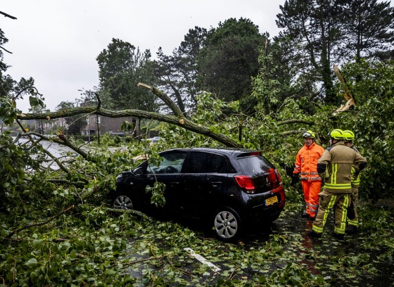 Un arbre abattu par la tempête à Haarlem à l'ouest d'Amsterdam au Pays-Bas, le 5 juillet 2023 © Remko de Waal