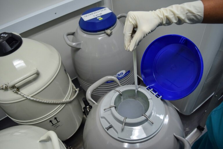 Etape de la procédure de congélation des ovocytes © Sam REEVES