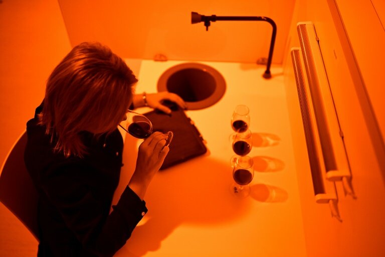 Une chercheuse goûte le vin expérimental du Château La Tour Carnet sous une lumière orangée de lampes au sodium, au laboratoire de l'Institut des sciences de la vigne et du vin, le 9 novembre 2023 à Villenave-d'Ornon, près de Bordeaux, en Gironde © Christophe ARCHAMBAULT