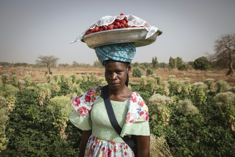Jacqueline Taonsa tient un plat de fraises sur sa tête, à Ouagadougou, le 28 mars 2024 © FANNY NOARO-KABRÉ