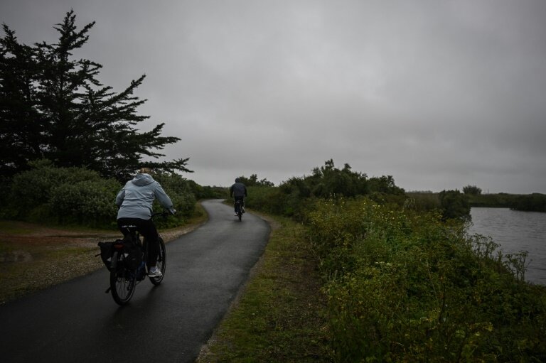 Des cylcistes sur l'île de Ré, non loin du site de la bataille du “Pont du Feneau”, le 29 avril 2024 © Philippe LOPEZ