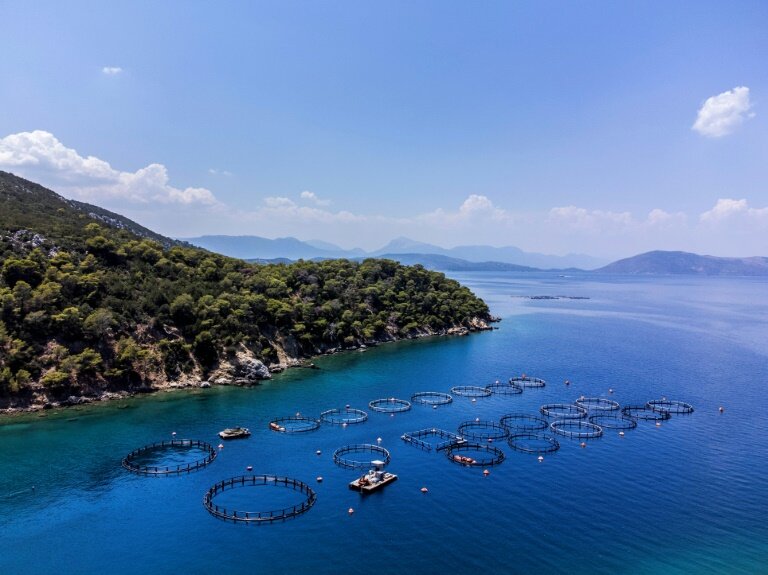 Fermes piscicoles dans la mer Égée, au large de l'île de Poros, en Grèce, le 5 juillet 2023 © Angelos Tzortzinis