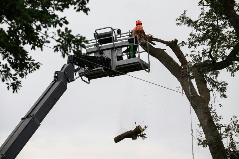 Un bûcheron coupe un arbre lors d'une opération de dégagement d'un campement de manifestants contre la construction de l'autoroute A69 à Saix (Tarn), le 1er septembre 2024 © Ed JONES