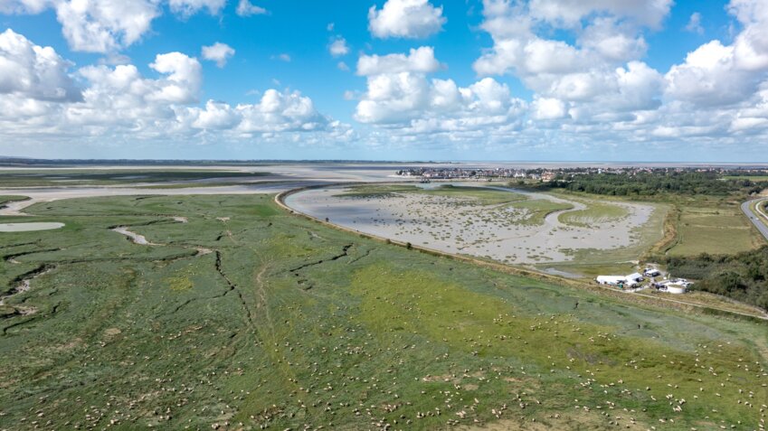 Le colloque se déroulera en baie de Somme (Photo : François Goudeau).