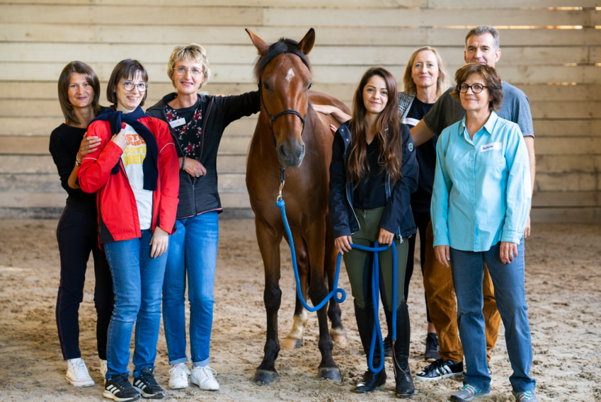 Cohésion d’équipe au programme pour les équipes de Meuse Attractivité avec le cheval comme médiateur. © Guillaume Ramon
