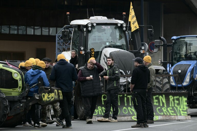 Des agriculteurs de la coordination rurale durant des manifestations contre l'accord UE-Mercosur, à Pessac le 19 novembre 2024 © PHILIPPE LOPEZ