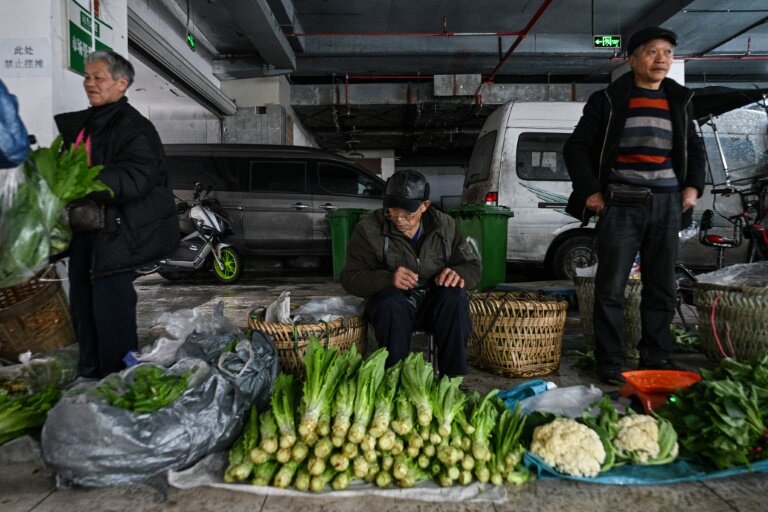 The image of farmers hauling their wares past Chongqing's skyscrapers is a reminder that making a living is still a struggle for many in China © Hector RETAMAL