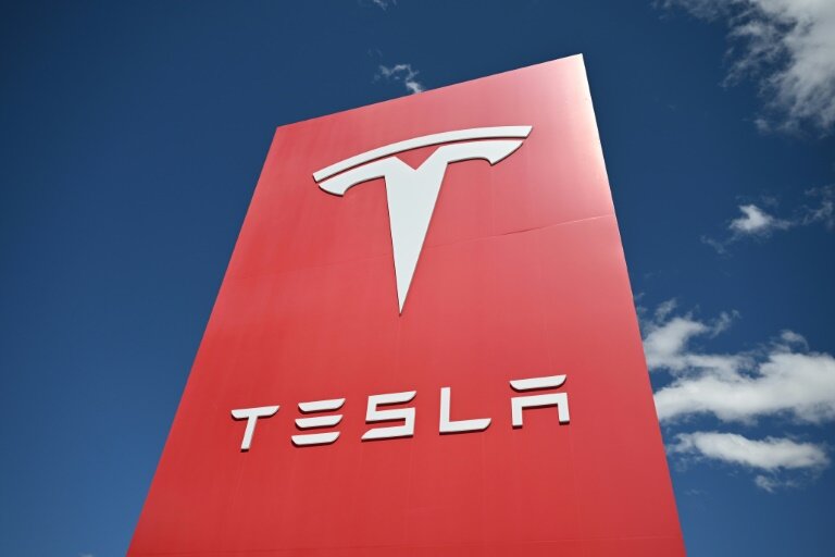 Sur le seul mois de février, les ventes ont reculé de 47,1% pour Tesla © Robyn BECK