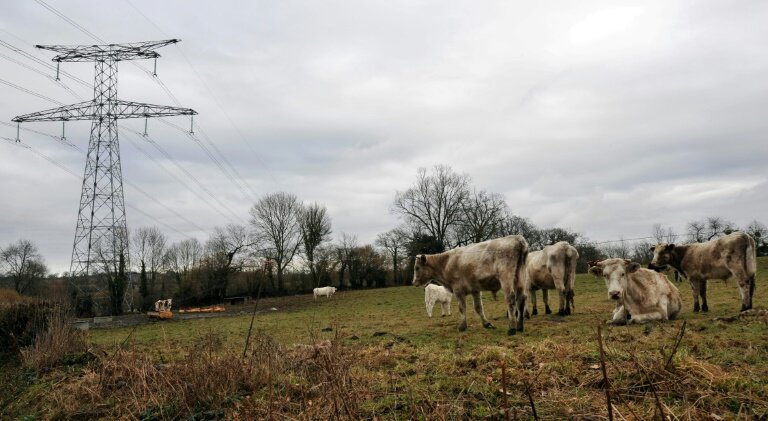 Une ligne à très haute tension (THT) à Saint-Georges-d'Elle dans la Manche qui achemine de l'électricité produite par la centrale nucléaire de Flamanville © MYCHELE DANIAU