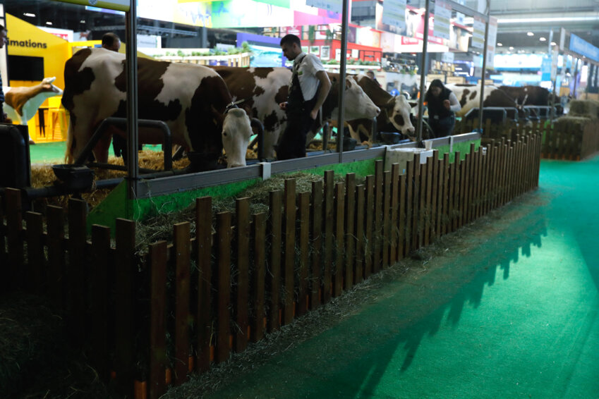 L'agriculture et la sciences travaillent ensemble sur de nombreux sujets, comme ce fut le cas au Salon de l'Agriculture 2025.©Daniel Perron / Hans Lucas via AFP