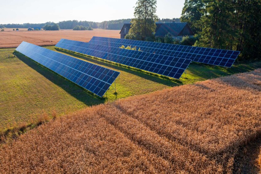 Un exemple de projet agrivoltaïque. Photo d'illustration. © Aimur 