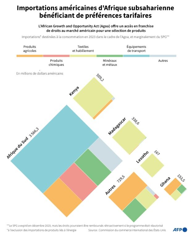 Graphique présentant les importations américaines en 2023 dans le cadre du programme de préférences tarifaires African Growth and Opportunity Act (Agoa), qui expirera en septembre sauf si le président Donald Trump accepte de le prolonger © Sabrina BLANCHARD