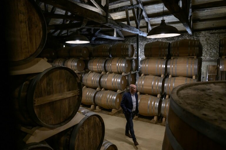 Jérôme Delord au milieu des fûts d'Armagnac à la distillerie Delord à Lannepax, le 20 mars 2025 dans le Gers © Ed JONES