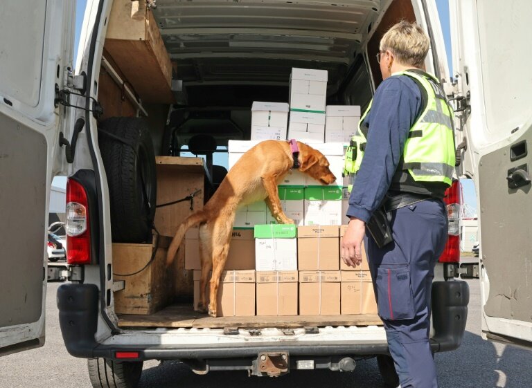 Un chien renifleur et une douanière inspectent le chargement d'une camionnette lors d'un contrôle le 17 avril 2025 à Loon-Plage, près du port de Dunkerque (Nord) © FRANCOIS LO PRESTI