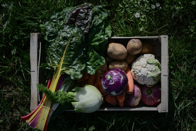 Une cagette de légumes bio à la ferme Les Jardins de l'Aubrecay à Nieul-sur-Mer, en Charente-Maritime, le 8 avril 2025 © Philippe LOPEZ