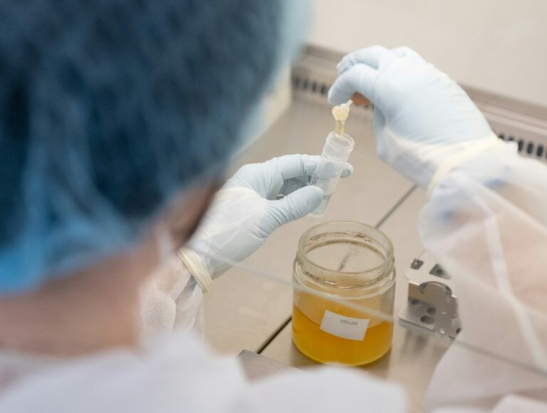 Une chercheuse procède à un test ADN sur un échantillon de miel dans le laboratoire de l'entreprise Sinsoma, le 19 mars 2025 à Voels, en Autriche © JOE KLAMAR