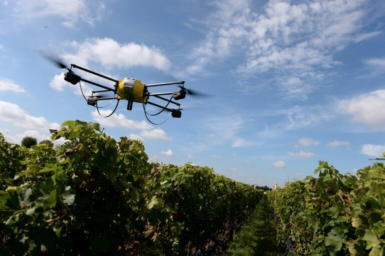 La pulvérisation par drone de produits phytosanitaires sur des bananeraies, sur certaines vignes ou sur des parcelles agricoles pentues va désormais être autorisée en France © JEAN PIERRE MULLER