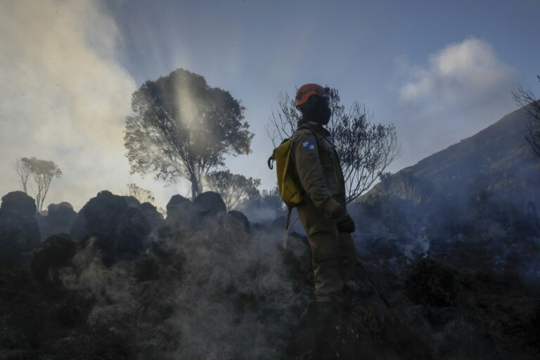 Un pompier à Itatiaia, au Brésil le 15 juin 2024 © Ernesto CARRICO