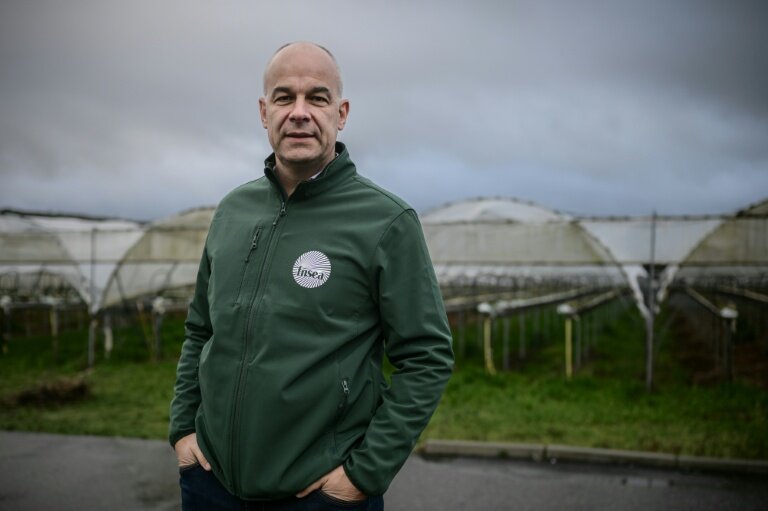 Le président de la Fédération nationale des syndicats d'exploitants agricoles (FNSEA), Arnaud Rousseau, dans une ferme fruitière à Feugarolles, le 9 janvier 2025 © Philippe LOPEZ