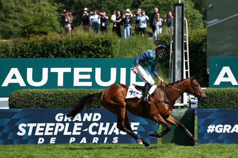 Le jockey français Clément Lefebvre sur "Diamond Carl" franchit la ligne d'arrivée pour remporter la 147e édition du Grand Steeple-Chase de Paris, à l'Hippodrome d'Auteuil à Paris, le 18 mai 2025 © Anne-Christine POUJOULAT