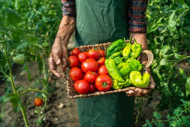 Favoriser le mode direct du panier à l'assiette.