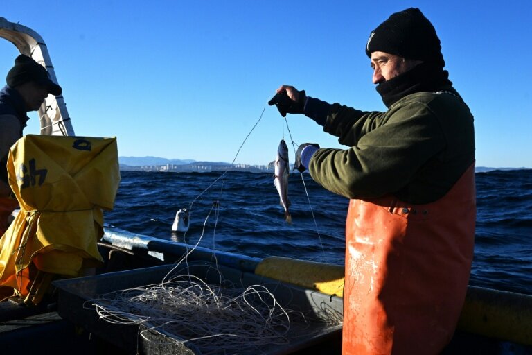 Le pêcheur artisanal Rodrigo Gallardo montre un merlu pêché au large de Caleta Portales, à Valparaiso, au Chili, le 27 mai 2025 © RODRIGO ARANGUA