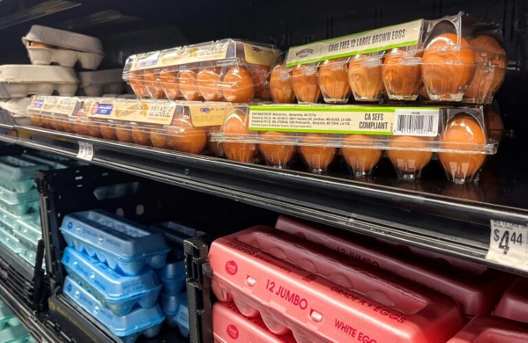 Des boîtes d'oeufs dans un supermarché à Houston, le 15 mai 2025 au Texas © RONALDO SCHEMIDT
