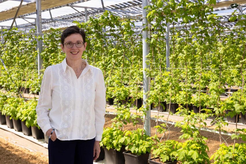 Sylvie Cathelain, présidente de Fruits Rouges & Co. (c) Marie-Line Waroude