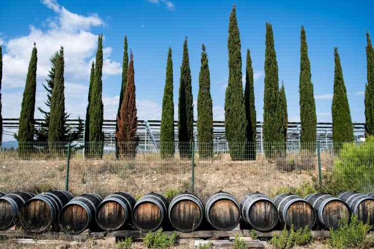 Des fûts en bois stockés à la Cave Coopérative Viticole de Leucate, dans l'Aude, le 25 septembre 2024 © Matthieu RONDEL