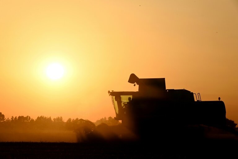Un agriculteur dans sa moissonneuse, le 30 juin 2025 près d'Illiers-Combray, dans le centre de la France © JEAN-FRANCOIS MONIER