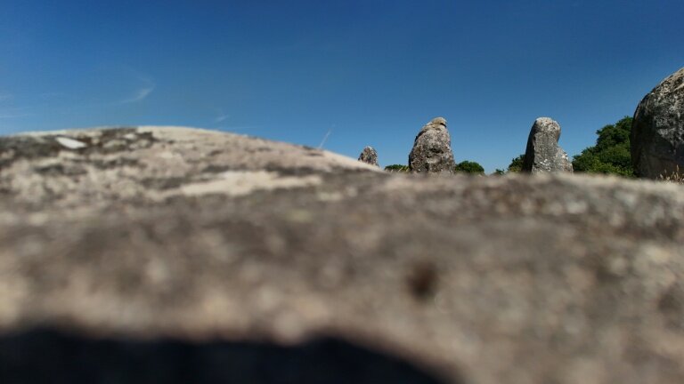Les mégalithes de Carnac, le 4  juillet 2025 qui viennent d'être classés par l'Unesco au patrimoine mondial © Damien MEYER