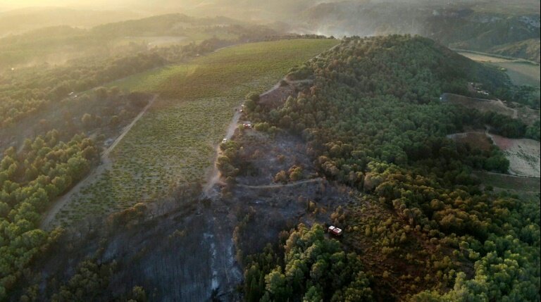 Des véhicules de pompiers au milieu d'arbres brûlés après l'incendie de forêt près de Sigean (Aude) dimanche 27 juillet 2025 - Photo prise et publiée par Service départemental d'incendie et de secours (Sdis 11) © Handout