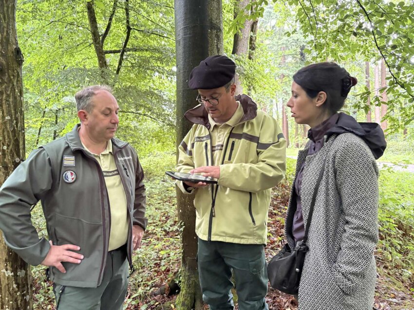 Jérôme Jaminon et Julien Staub de l'ONF avec Fanny Anor, préfète de l'Aisne, en forêt de Saint-Gobain.