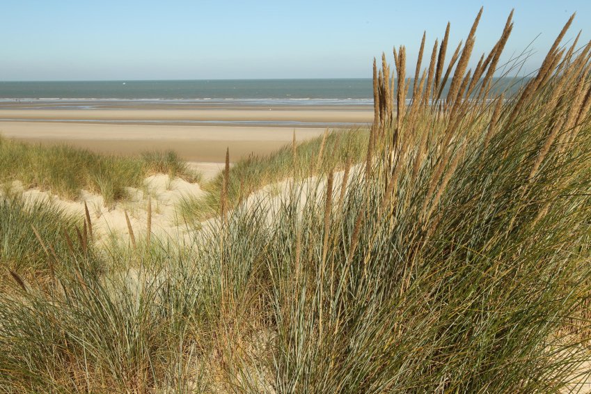 Les Dunes de Flandres viennent d'être labellisées Grand site de France. © Département du Nord